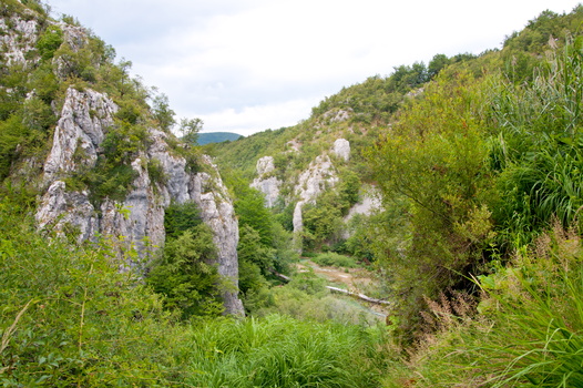 Zdjęcia 2010-2012