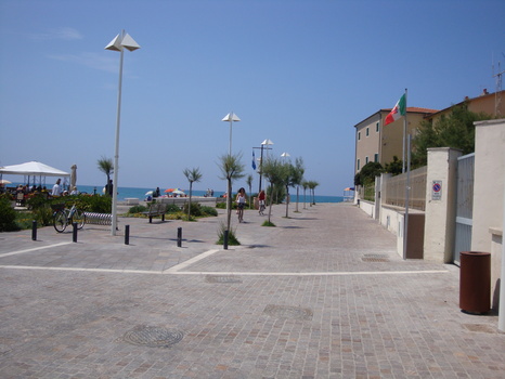 Albumy zdjęć z 2009 roku