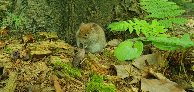 Kielce i Góry Świętokrzyskie